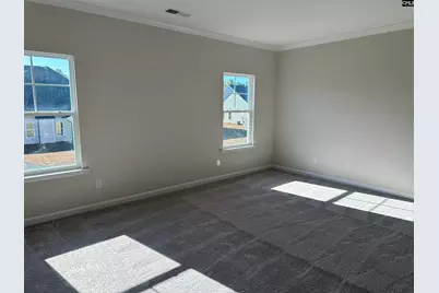 387 Rising Stream Way, Chapin, SC 29036 - Photo 11