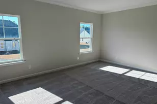 387 Rising Stream Way, Chapin, SC 29036 - Photo 11