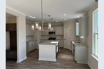 387 Rising Stream Way, Chapin, SC 29036 - Photo 7