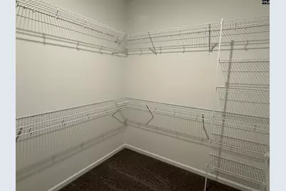 311 Rising Stream Way, Chapin, SC 29036 - Photo 13