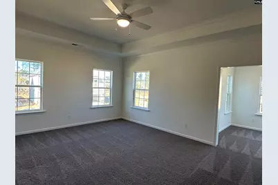 311 Rising Stream Way, Chapin, SC 29036 - Photo 9