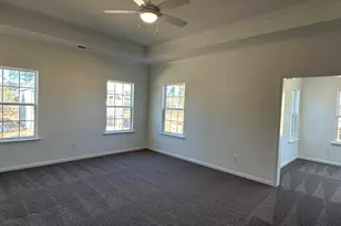 311 Rising Stream Way, Chapin, SC 29036 - Photo 9