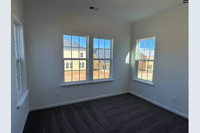 311 Rising Stream Way, Chapin, SC 29036 - Photo 11