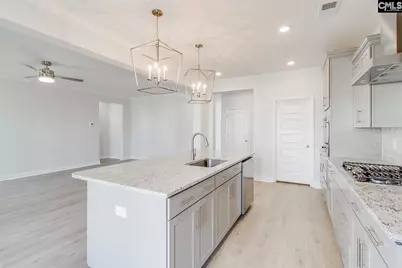 345 Rising Stream Way, Chapin, SC 29036 - Photo 7