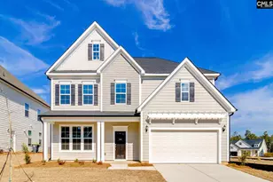 345 Rising Stream Wy, Chapin, SC 29036 - Photo 1