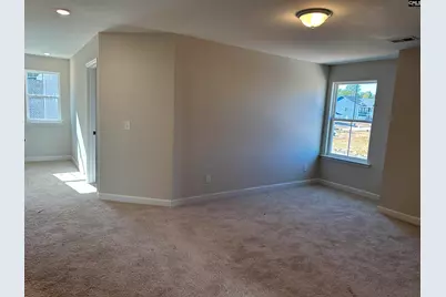 366 Rising Stream Way, Chapin, SC 29036 - Photo 13