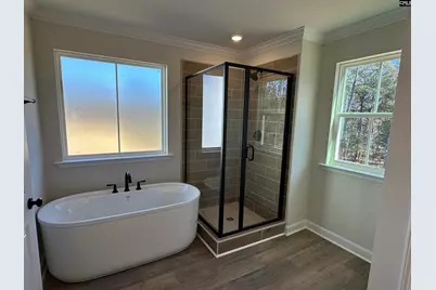 366 Rising Stream Way, Chapin, SC 29036 - Photo 11