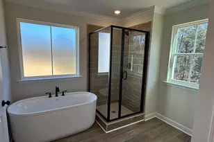 366 Rising Stream Way, Chapin, SC 29036 - Photo 11