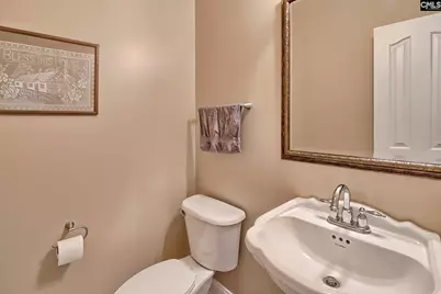 24 Clay Court, Chapin, SC 29036 - Photo 29