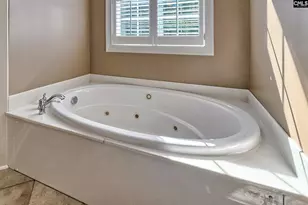 24 Clay Ct, Chapin, SC 29036 - Photo 35