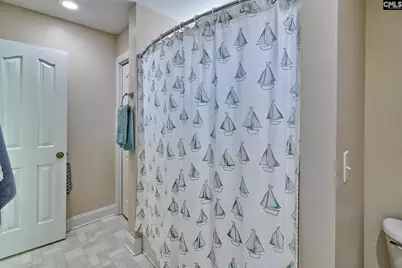 24 Clay Court, Chapin, SC 29036 - Photo 49