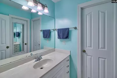 24 Clay Court, Chapin, SC 29036 - Photo 45