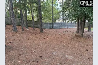 207 Clay Ridge Road, Columbia, SC 29223 - Photo 31