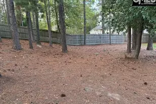 207 Clay Ridge Rd, Columbia, SC 29223 - Photo 31