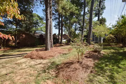 124 Boulters Lock Road, Irmo, SC 29063 - Photo 59