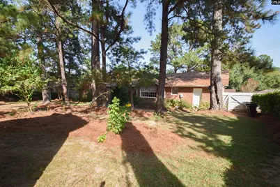 124 Boulters Lock Road, Irmo, SC 29063 - Photo 63
