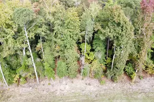 208 Grinders Mill Rd, Columbia, SC 29223 - Photo 27