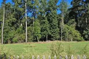 208 Grinders Mill Rd, Columbia, SC 29223 - Photo 27