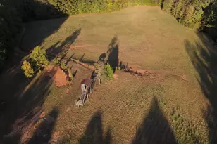 1348 Koon Trestle Rd, Pomaria, SC 29126 - Photo 7