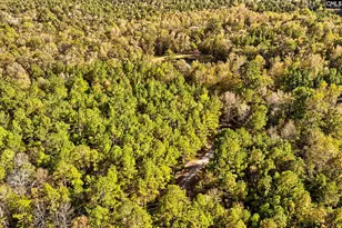 1348 Koon Trestle Rd, Pomaria, SC 29126 - Photo 67