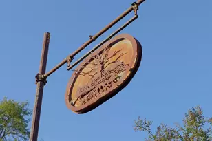 1348 Koon Trestle Rd, Pomaria, SC 29126 - Photo 71