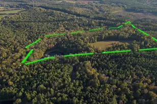 1348 Koon Trestle Rd, Pomaria, SC 29126 - Photo 19