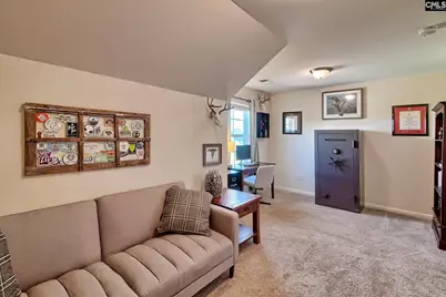 320 Hollow Cove Road, Chapin, SC 29036 - Photo 29