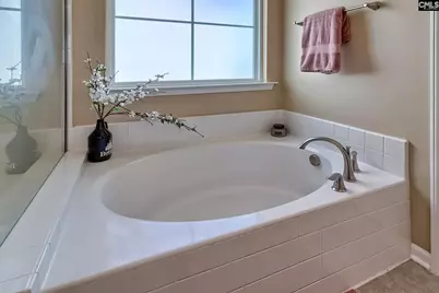 320 Hollow Cove Road, Chapin, SC 29036 - Photo 35