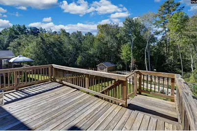900 Near Creek Drive, Blythewood, SC 29016 - Photo 35