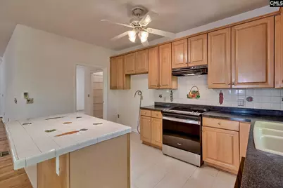 230 Cedar Shoals Way, Blythewood, SC 29016 - Photo 9