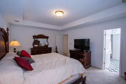 132 Forts Pond Road, Pelion, SC 29123 - Photo 27