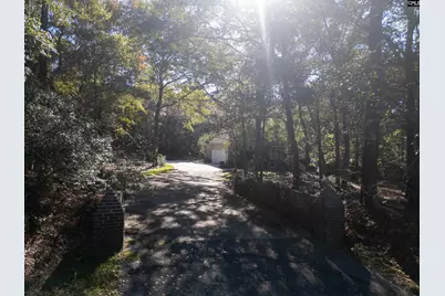 132 Forts Pond Road, Pelion, SC 29123 - Photo 51