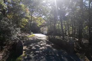 132 Forts Pond Rd, Pelion, SC 29123 - Photo 51