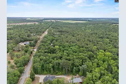 132 Forts Pond Road, Pelion, SC 29123 - Photo 49