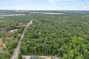 132 Forts Pond Rd, Pelion, SC 29123 - Photo 49