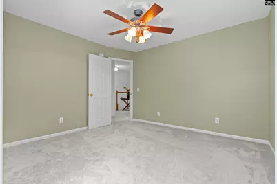 132 Forts Pond Road, Pelion, SC 29123 - Photo 29