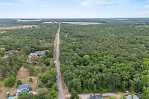 132 Forts Pond Rd, Pelion, SC 29123 - Photo 53