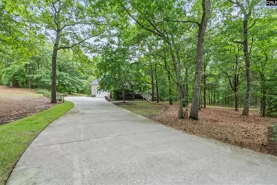 132 Forts Pond Road, Pelion, SC 29123 - Photo 45