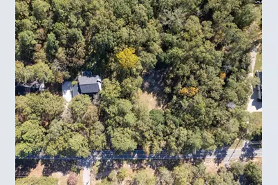 132 Forts Pond Road, Pelion, SC 29123 - Photo 5