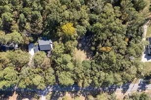 132 Forts Pond Rd, Pelion, SC 29123 - Photo 5