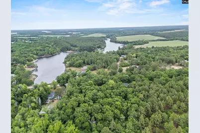 132 Forts Pond Road, Pelion, SC 29123 - Photo 47