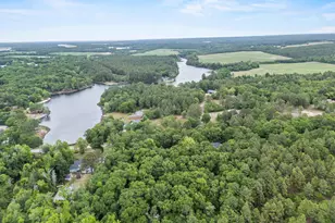 132 Forts Pond Rd, Pelion, SC 29123 - Photo 47