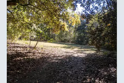 132 Forts Pond Road, Pelion, SC 29123 - Photo 49