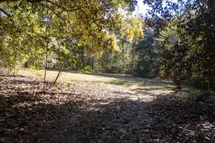 132 Forts Pond Rd, Pelion, SC 29123 - Photo 49