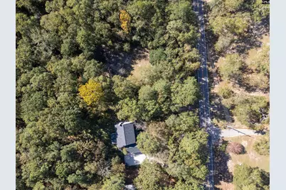 132 Forts Pond Road, Pelion, SC 29123 - Photo 53