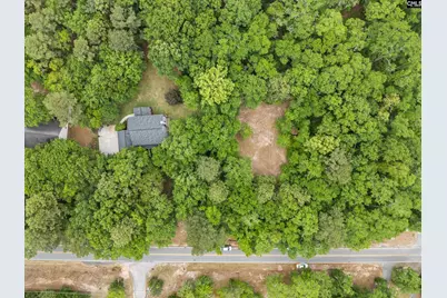 132 Forts Pond Road, Pelion, SC 29123 - Photo 51