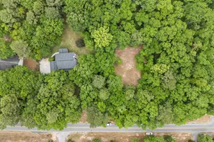 132 Forts Pond Rd, Pelion, SC 29123 - Photo 51