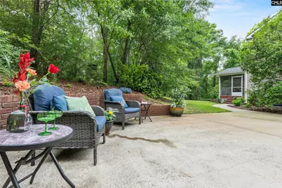 132 Forts Pond Road, Pelion, SC 29123 - Photo 43