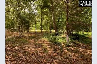 436 Peach Festival Road, Gilbert, SC 29054 - Photo 1