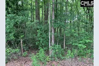 436 Peach Festival Road, Gilbert, SC 29054 - Photo 7